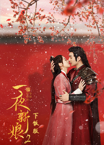 一夜新娘2 下饭版封面图