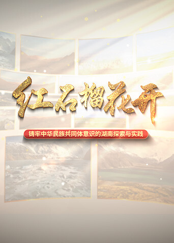 红石榴花开封面图