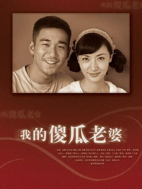 我的傻瓜老婆封面图