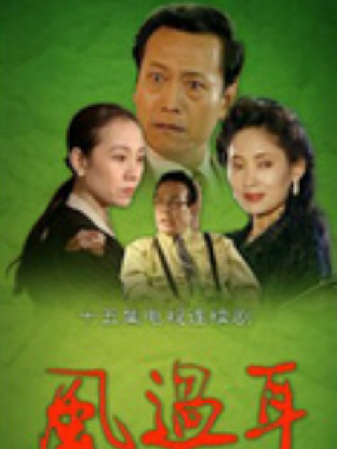 风过耳封面图