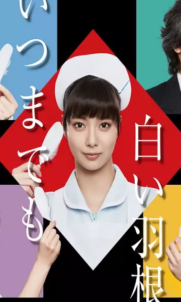永远的白羽毛封面图