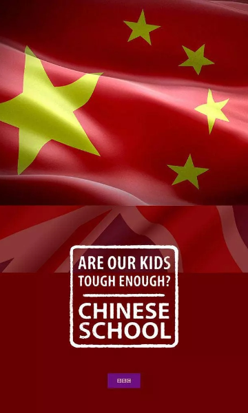 我们的孩子足够坚强吗中式学校封面图