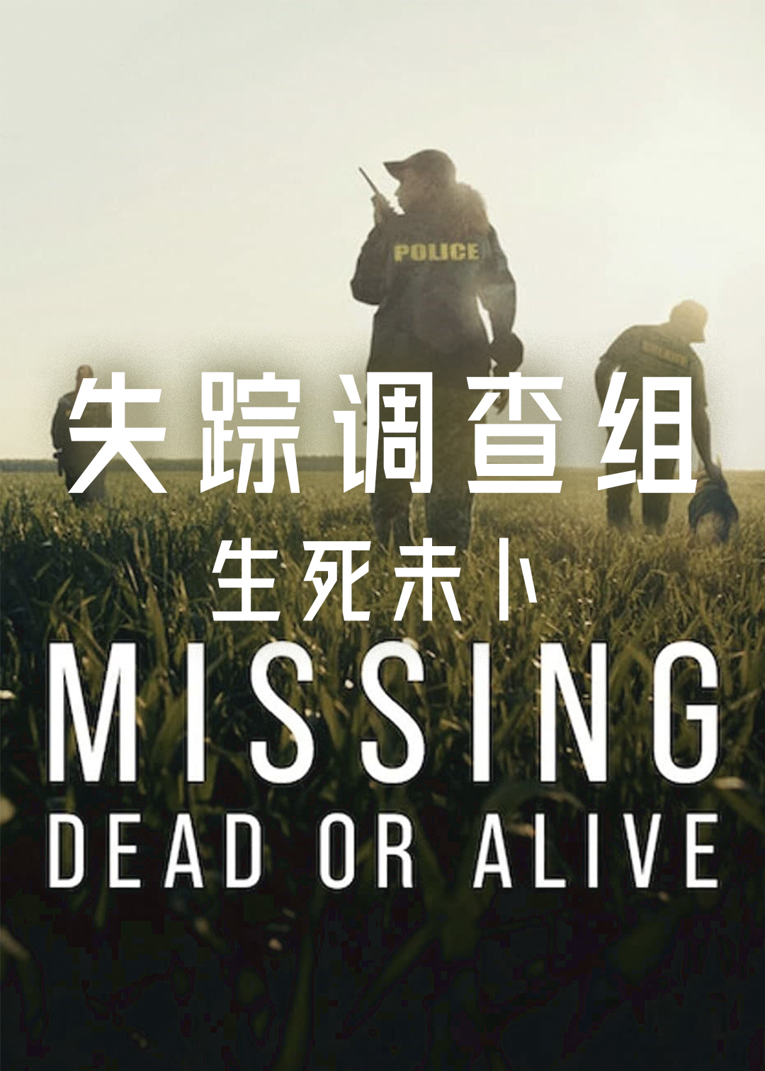 失踪调查组:生死未卜封面图