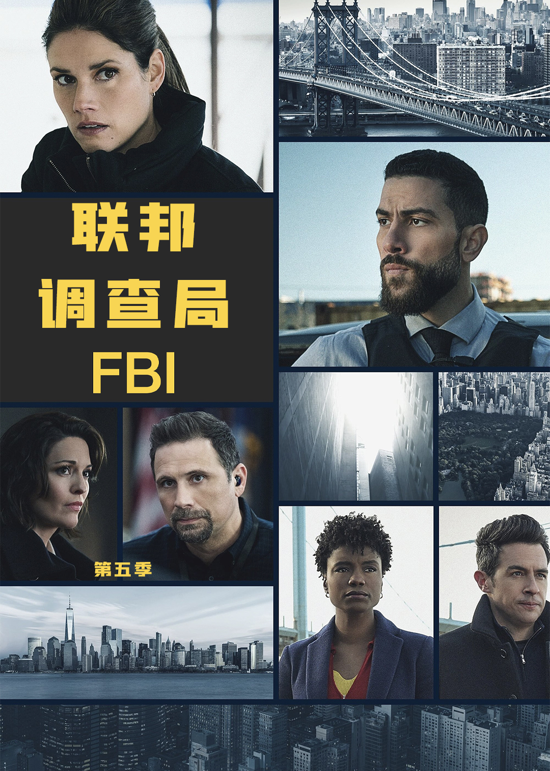 联邦调查局 第五季封面图