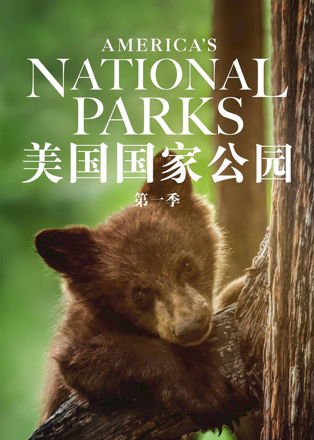 美国国家公园封面图