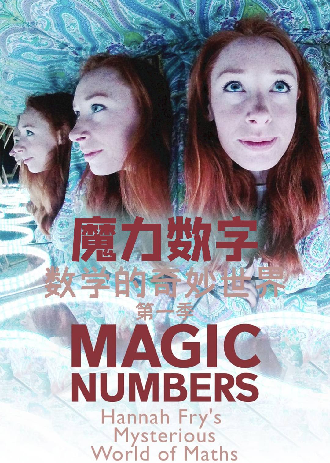 魔力数字:数学的奇妙世界封面图