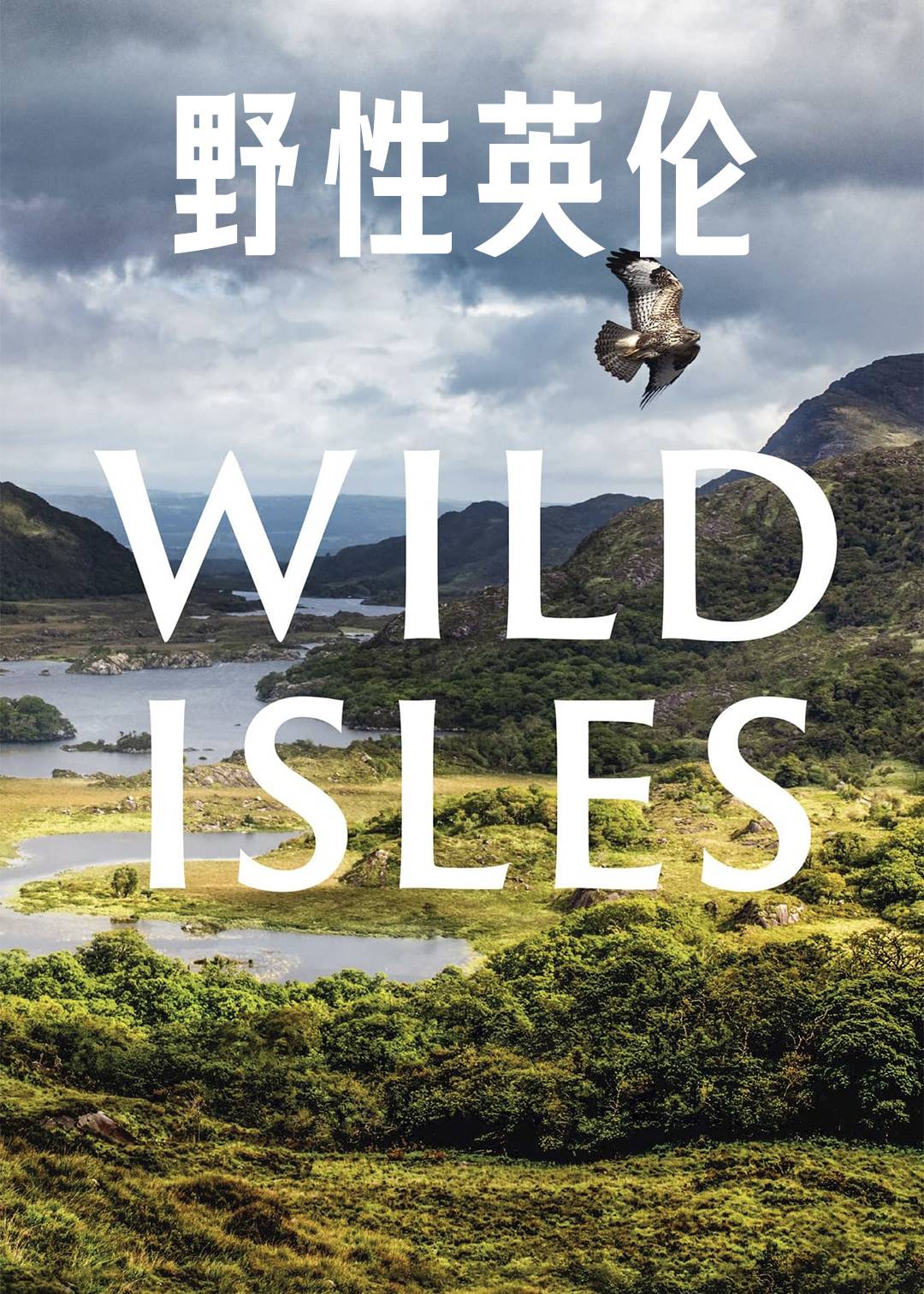 野性英伦封面图