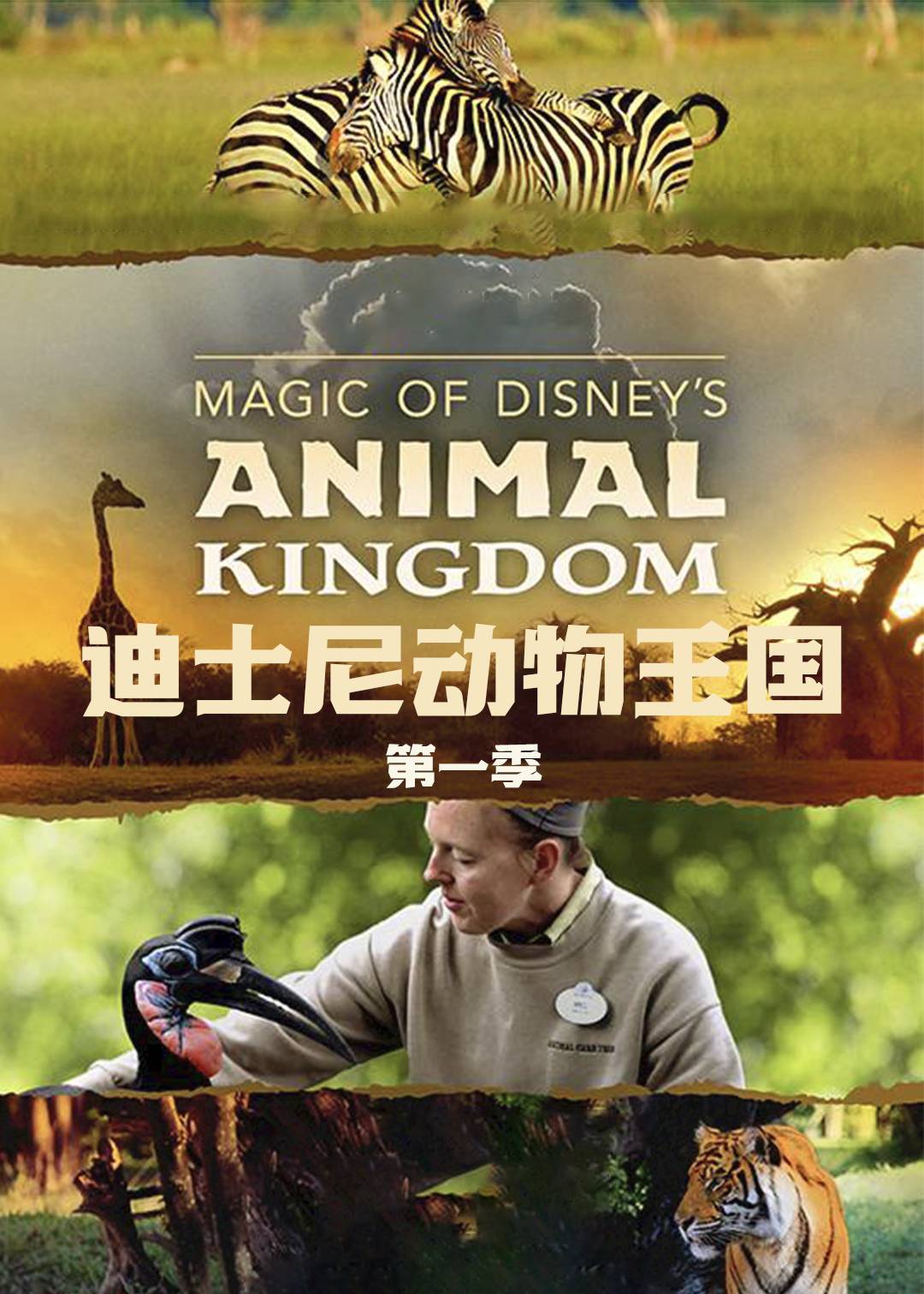 迪士尼动物王国封面图