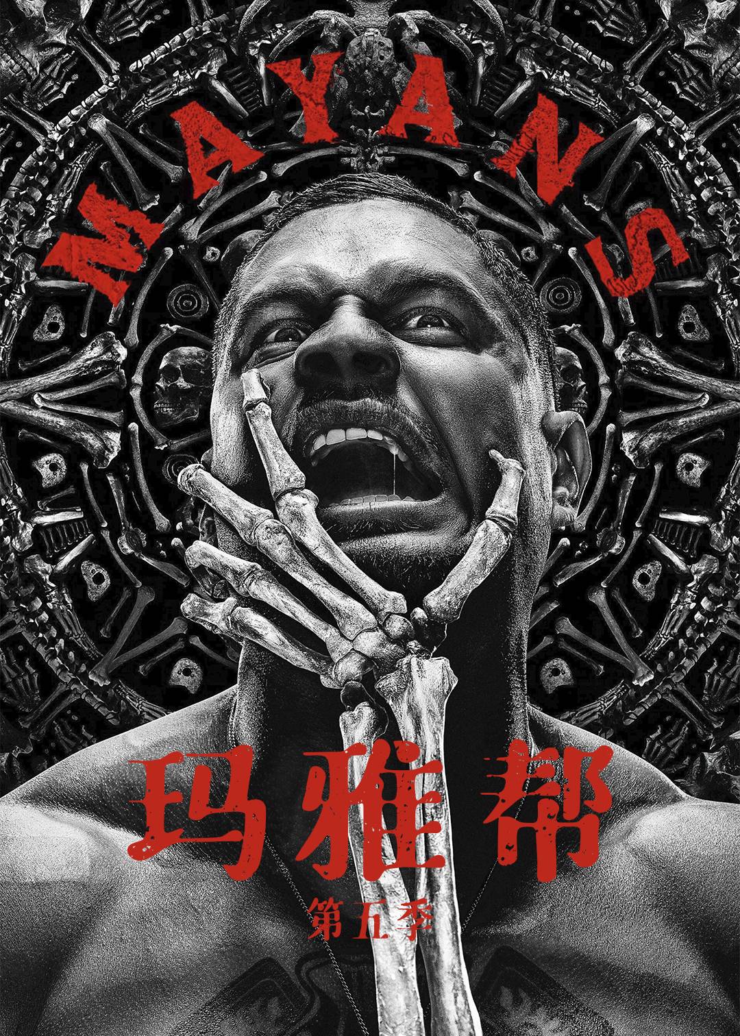 玛雅帮 第五季封面图