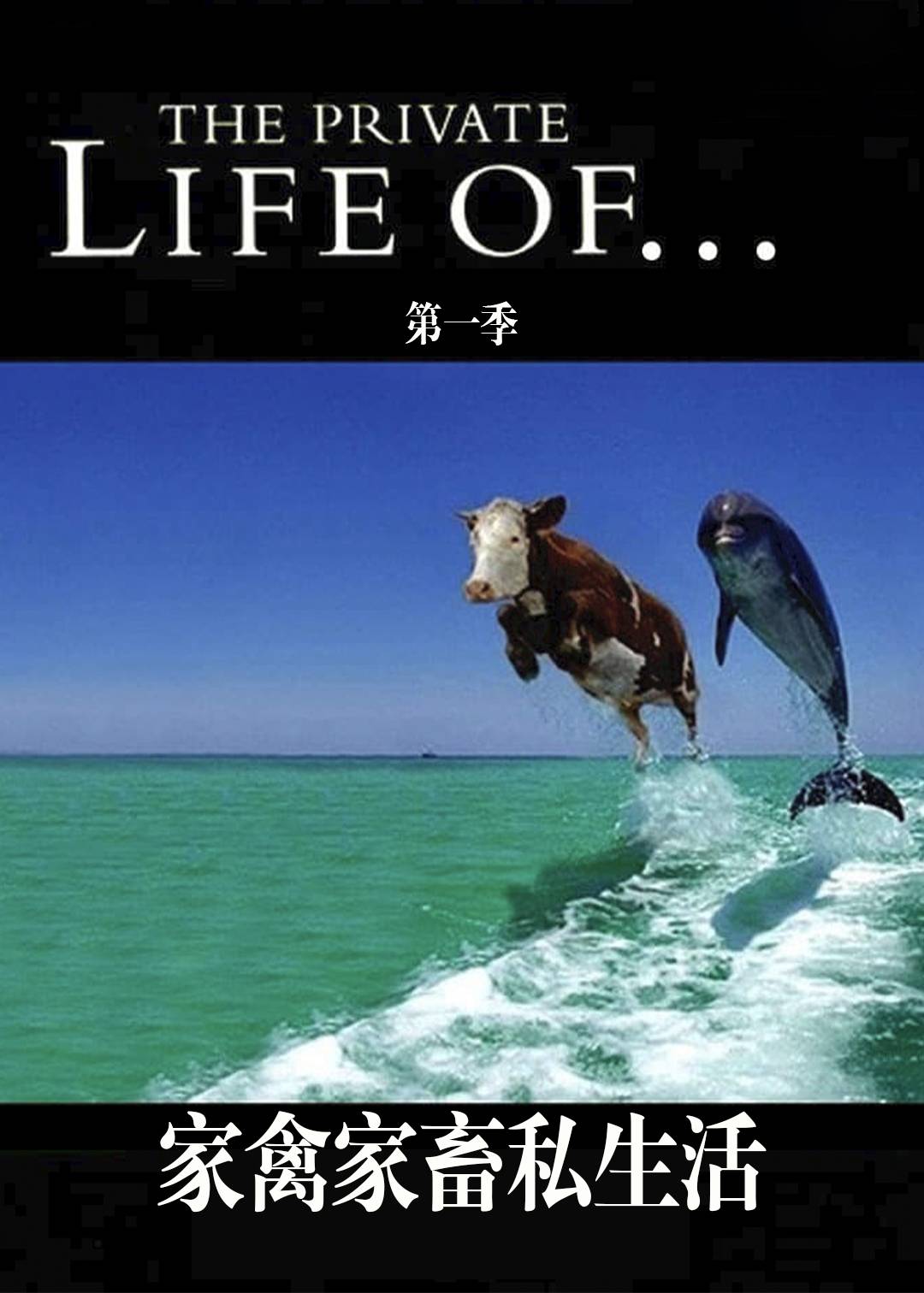 家禽家畜私生活封面图