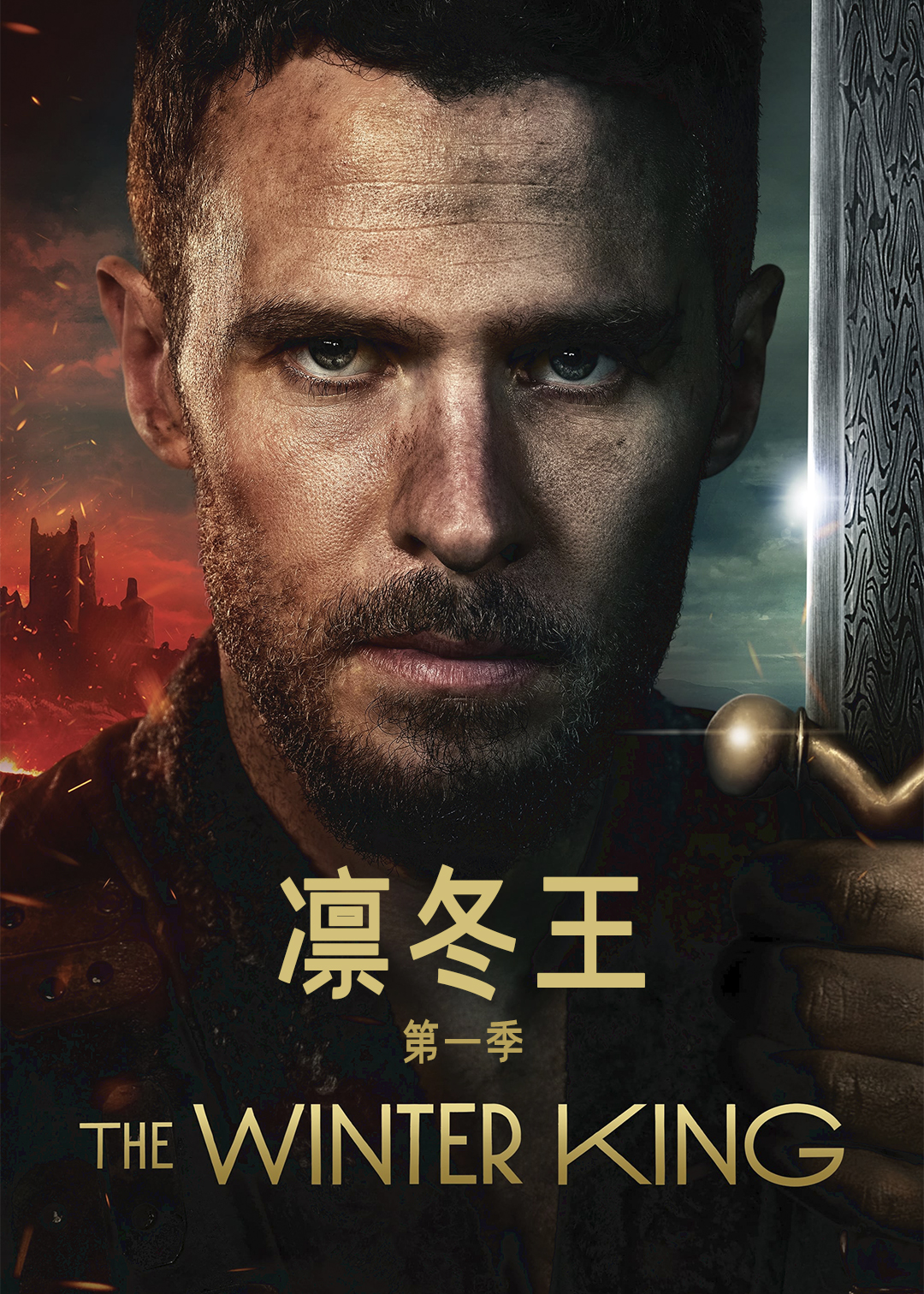 凛冬王封面图