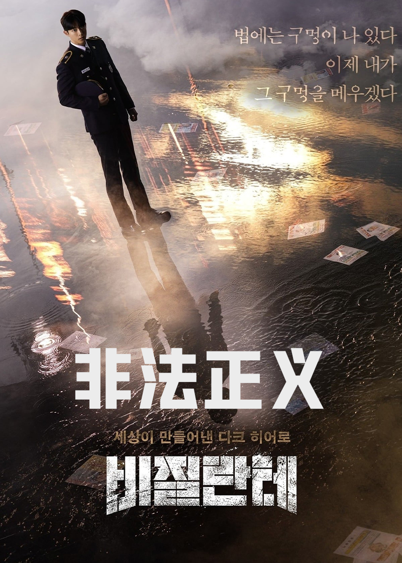 非法正义封面图