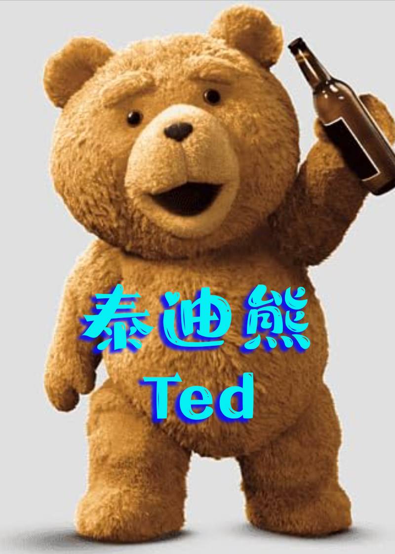 泰迪熊封面图