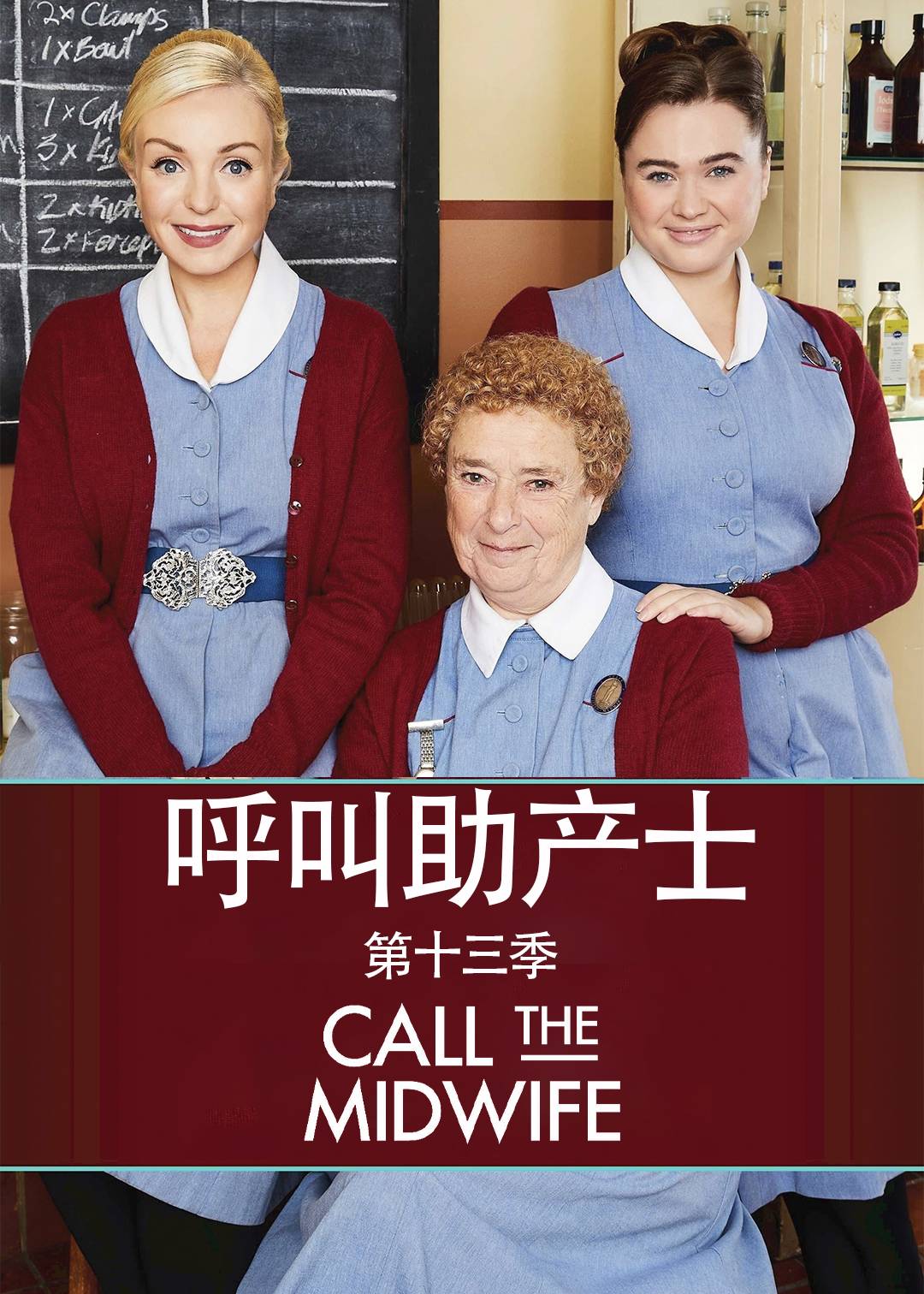 呼叫助产士 第十三季封面图