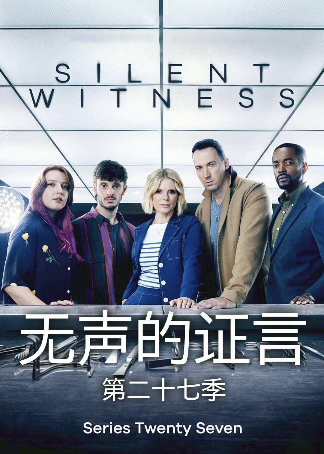 无声的证言 第二十七季封面图