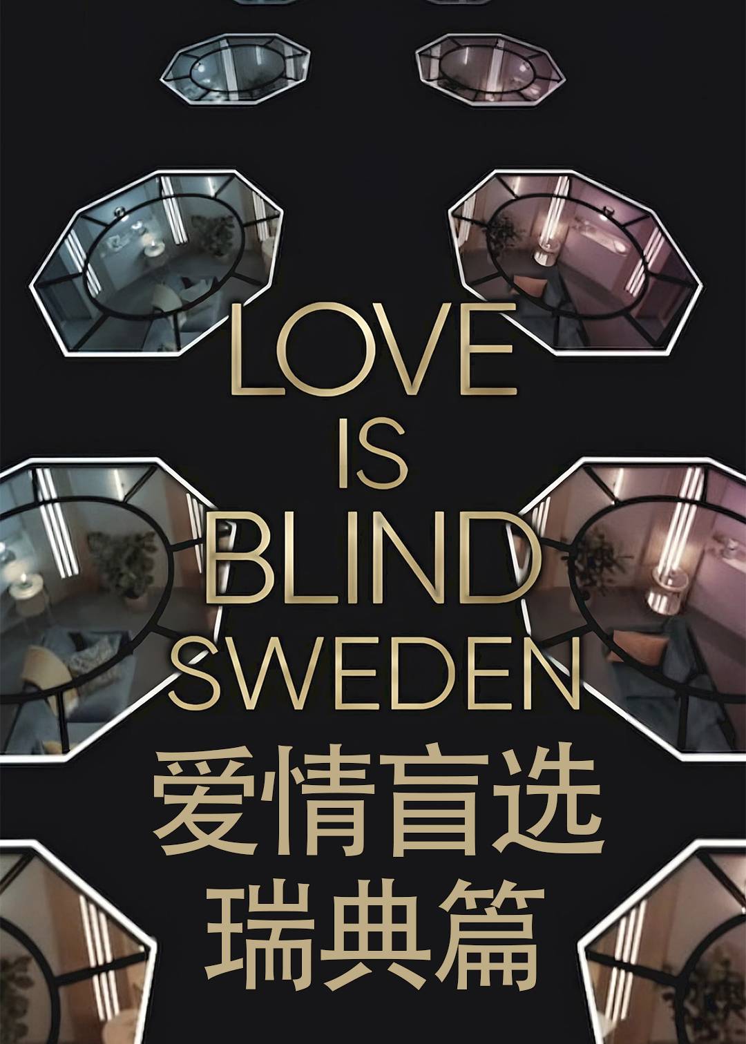爱情盲选瑞典篇封面图