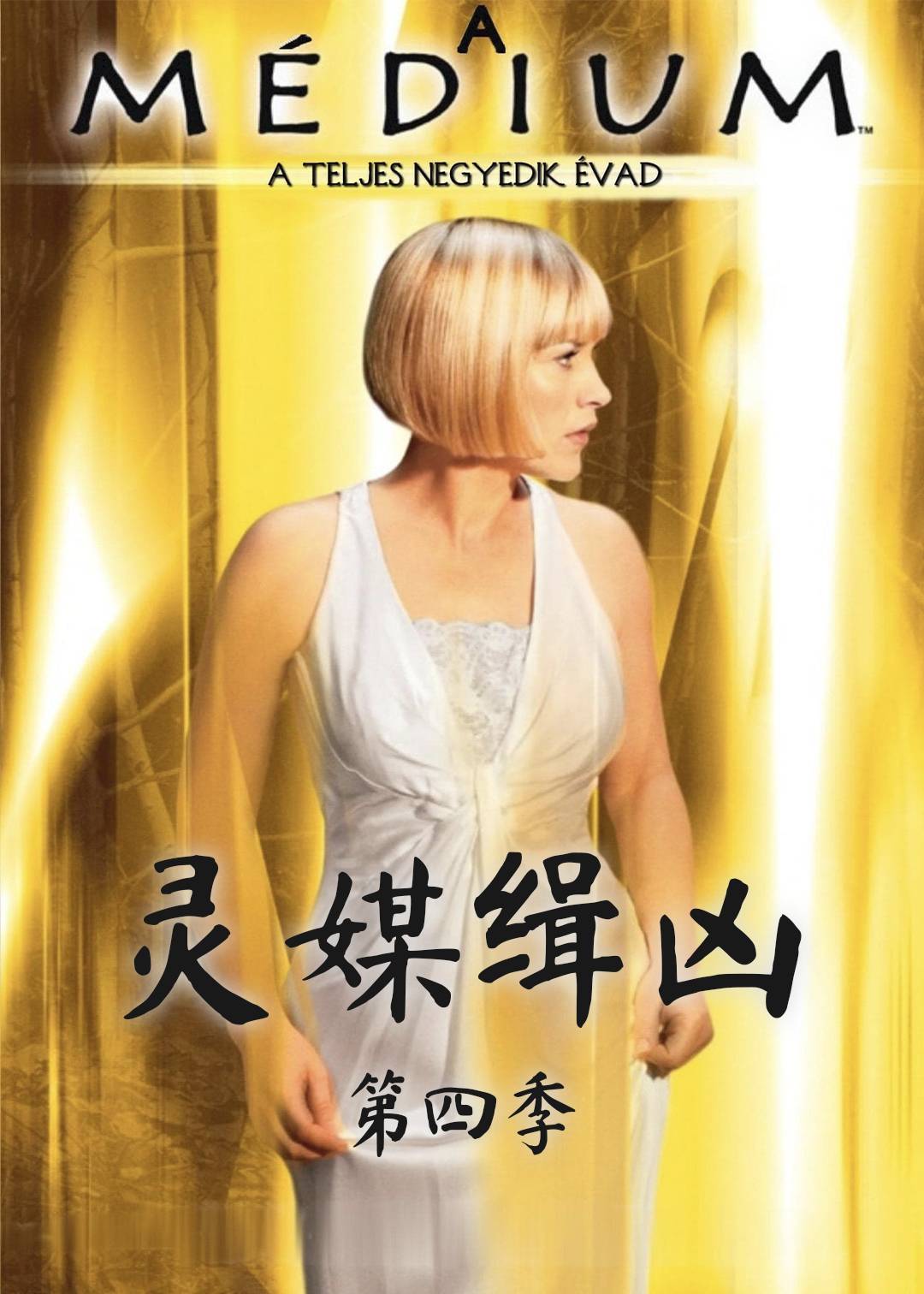 灵媒缉凶 第四季封面图