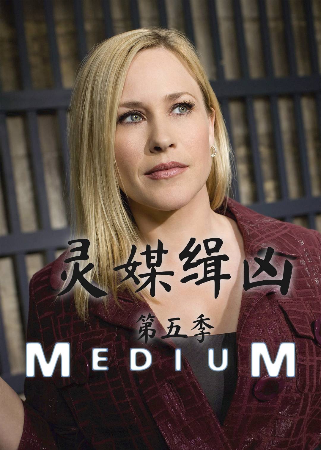 灵媒缉凶 第五季封面图