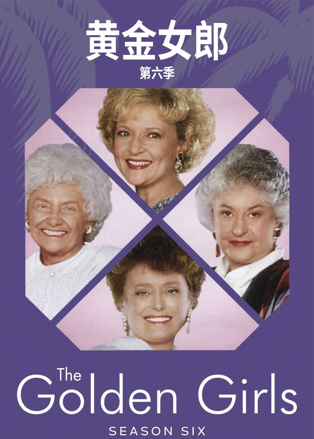 黄金女郎 第六季封面图