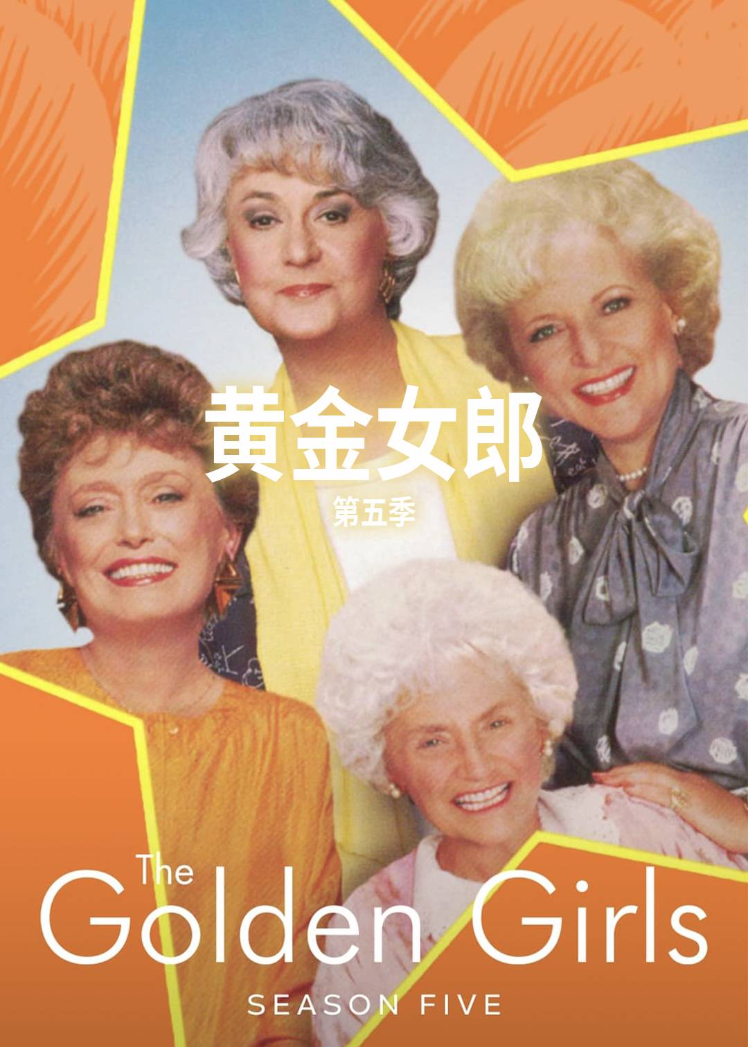 黄金女郎 第五季封面图