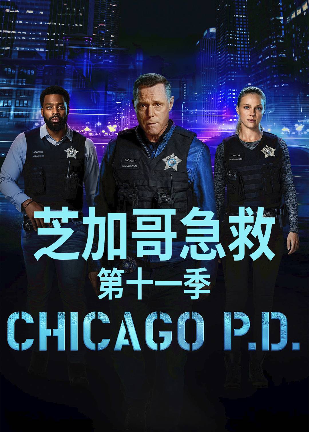 芝加哥警署 第十一季封面图