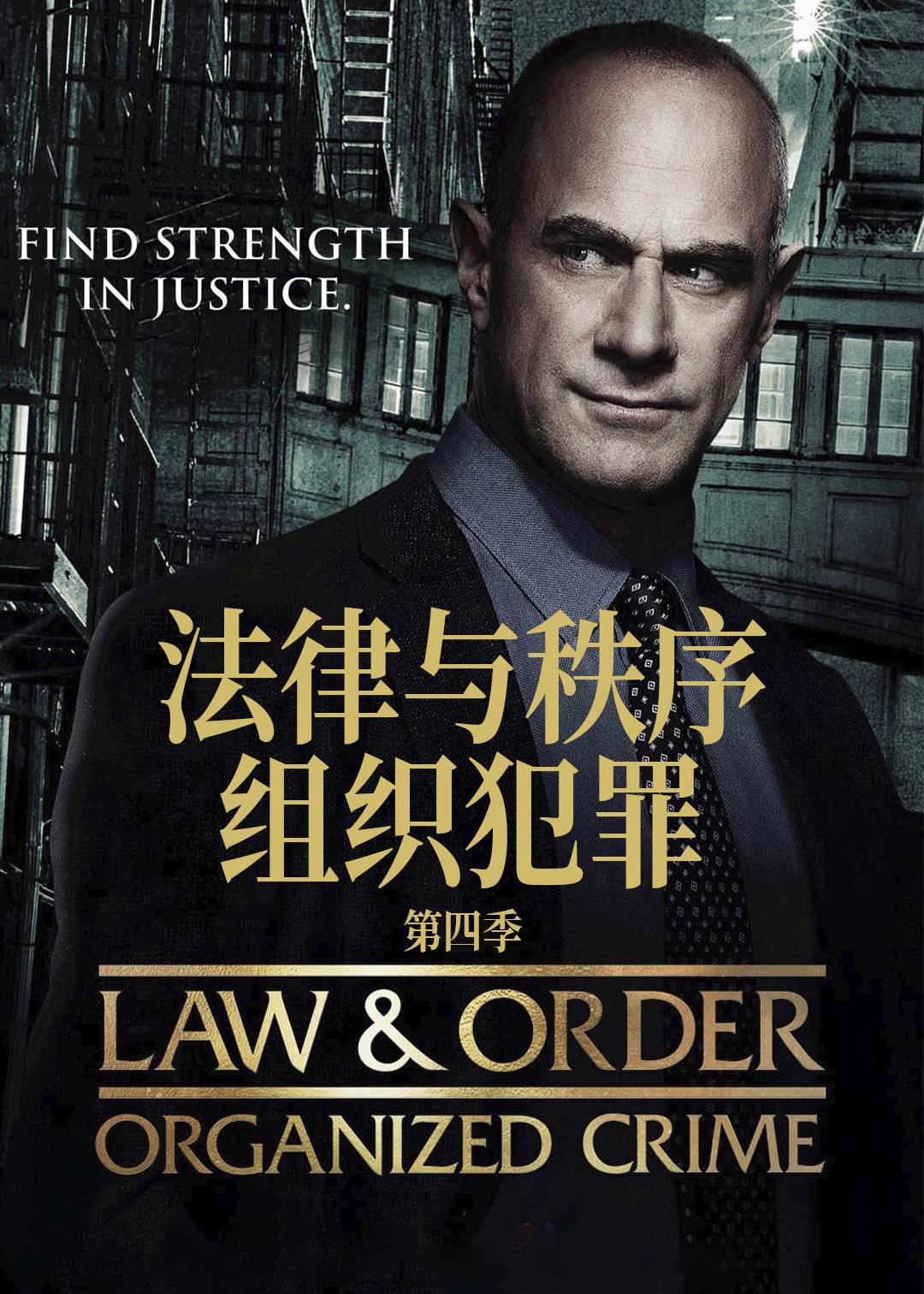 法律与秩序:组织犯罪 第四季封面图