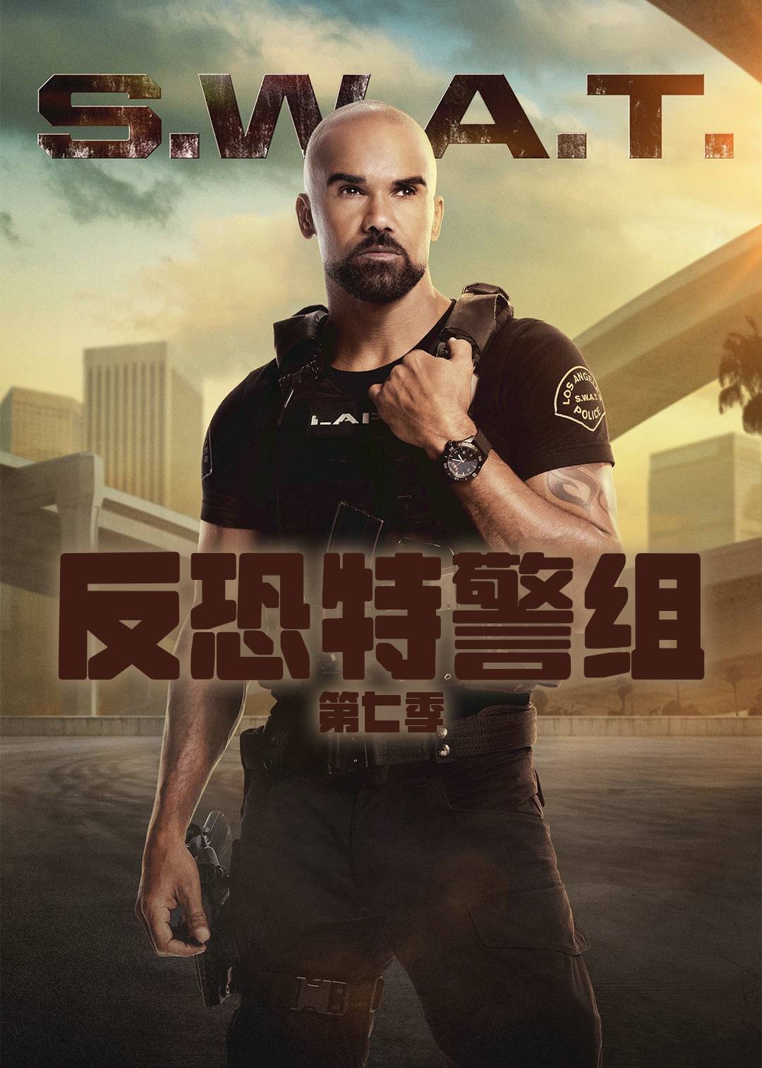 反恐特警组 第七季封面图