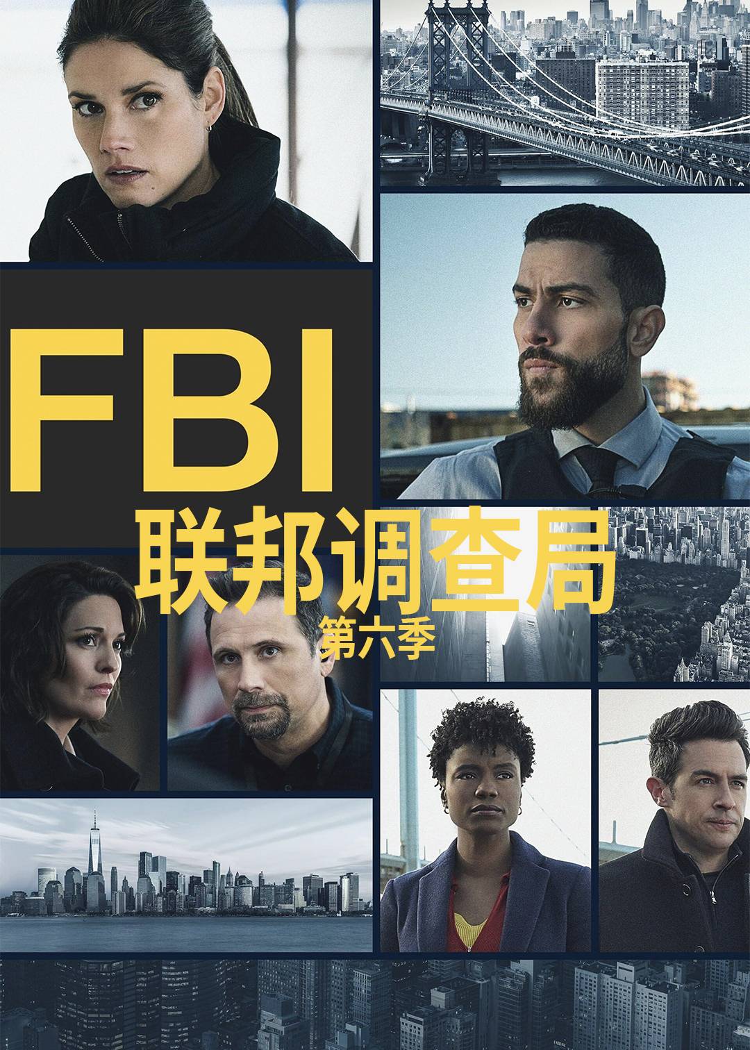 联邦调查局 第六季封面图