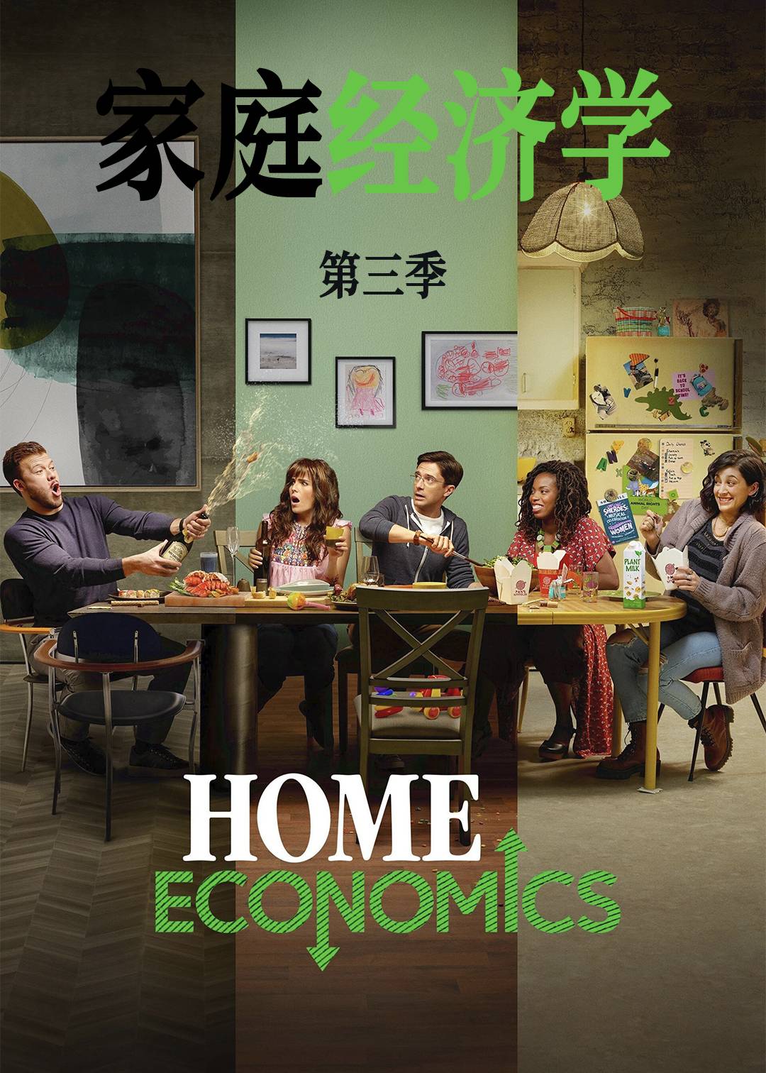 家庭经济学 第三季封面图