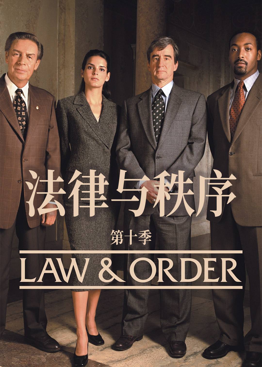 法律与秩序 第十季封面图