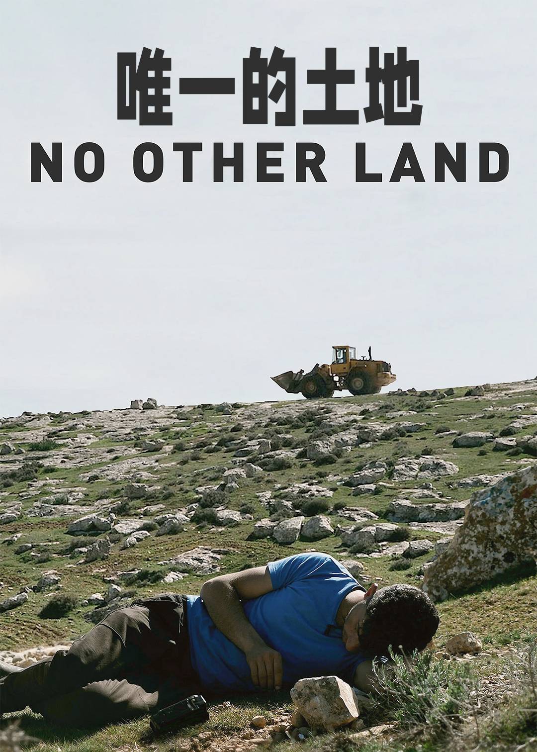 唯一的家园封面图