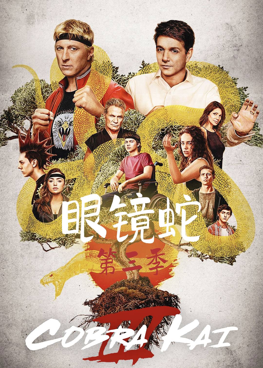 眼镜蛇 第三季封面图