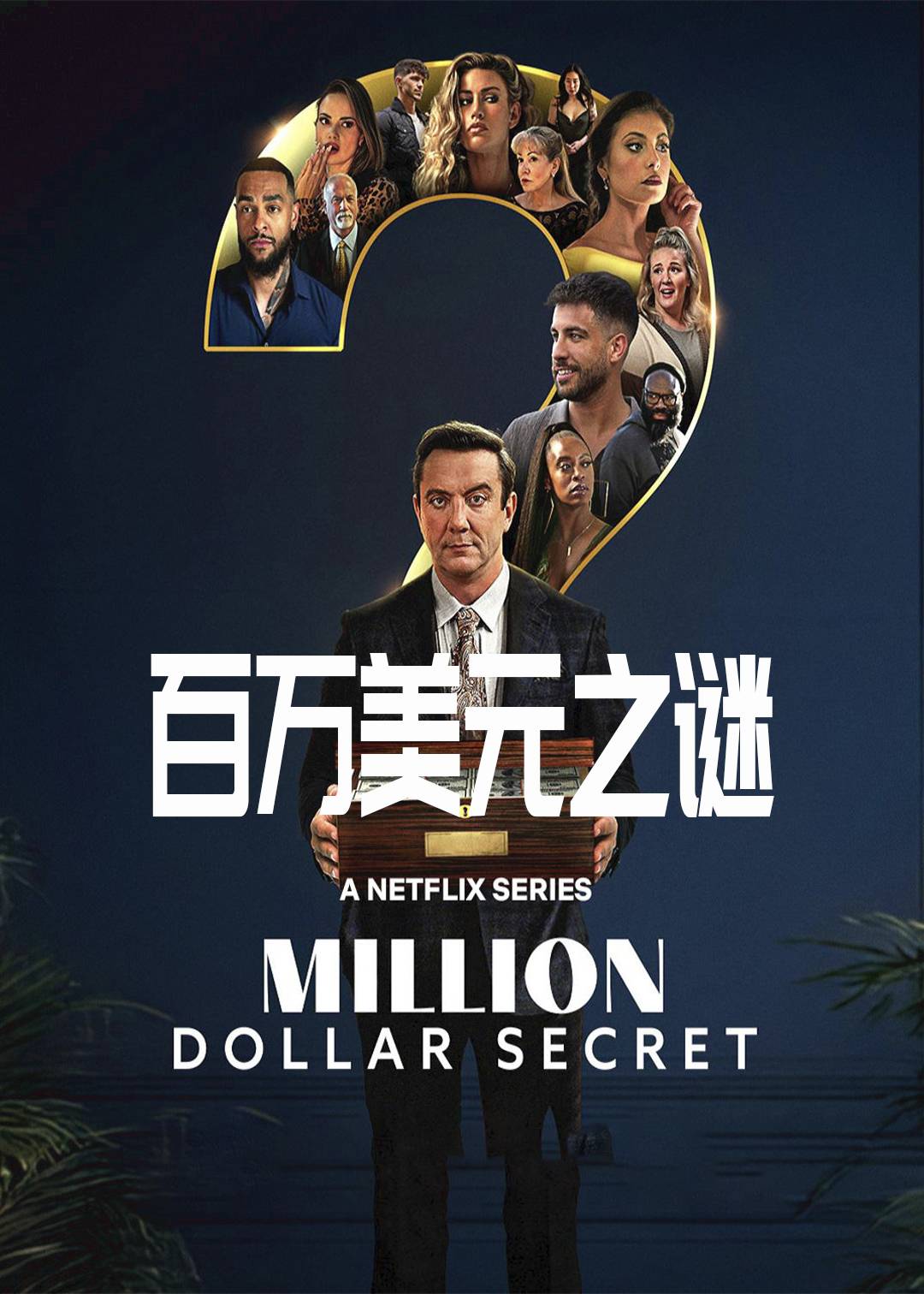 百万美元之谜封面图