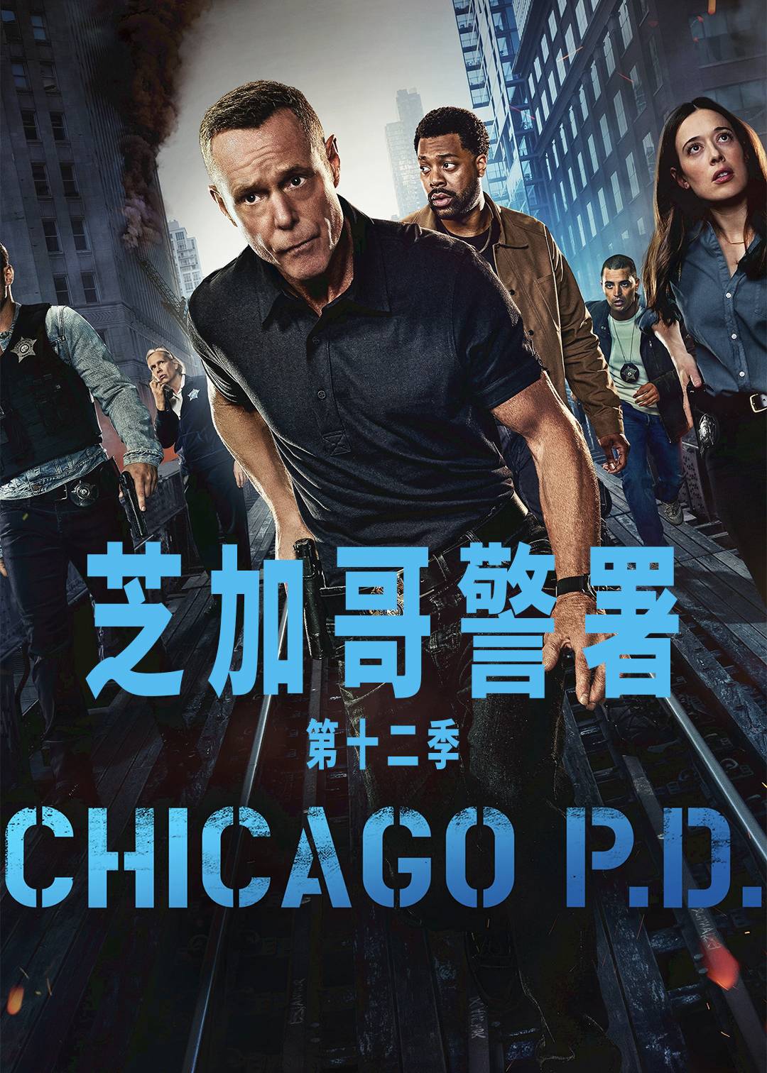 芝加哥警署 第十二季封面图