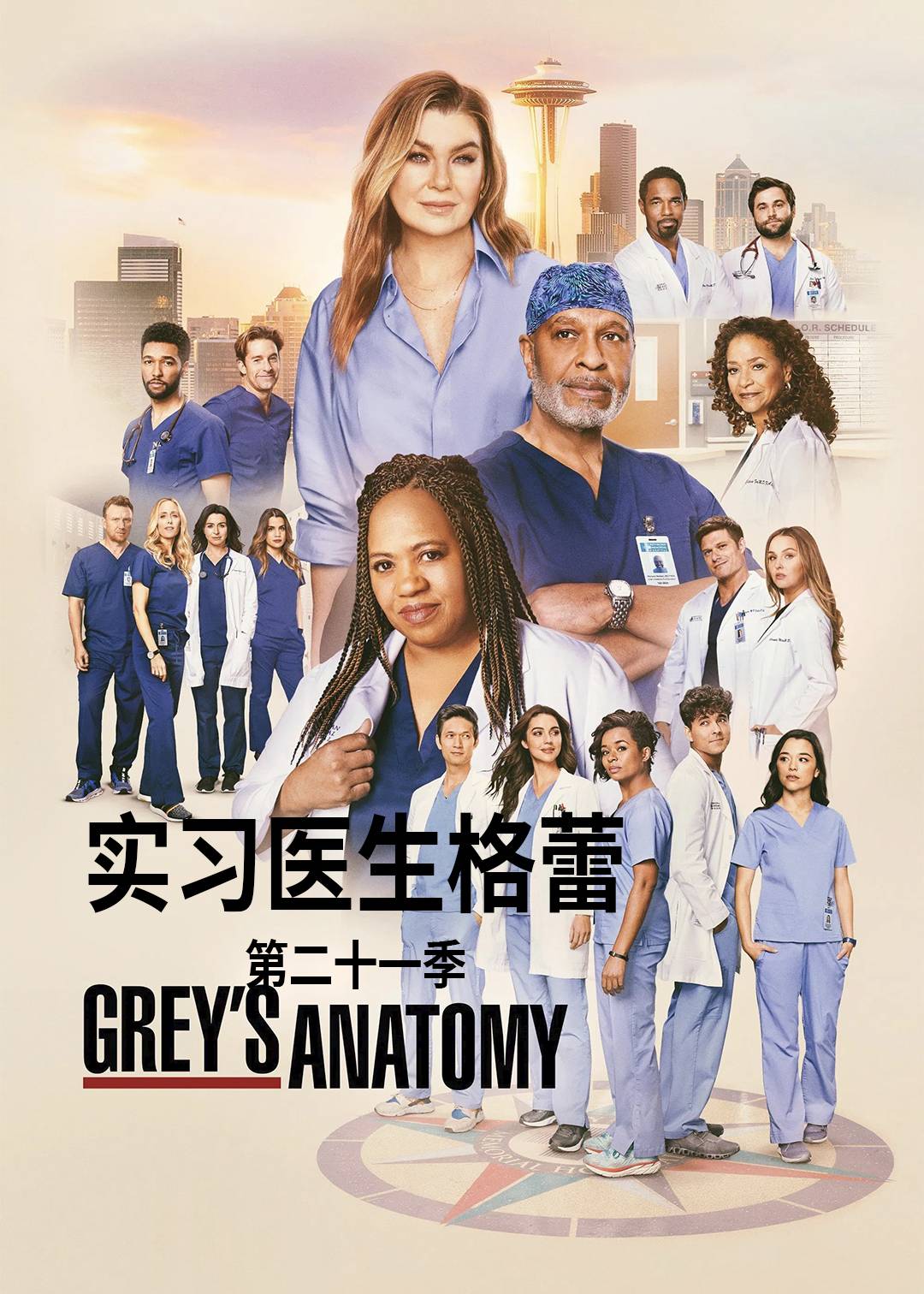 实习医生格蕾 第二十一季封面图