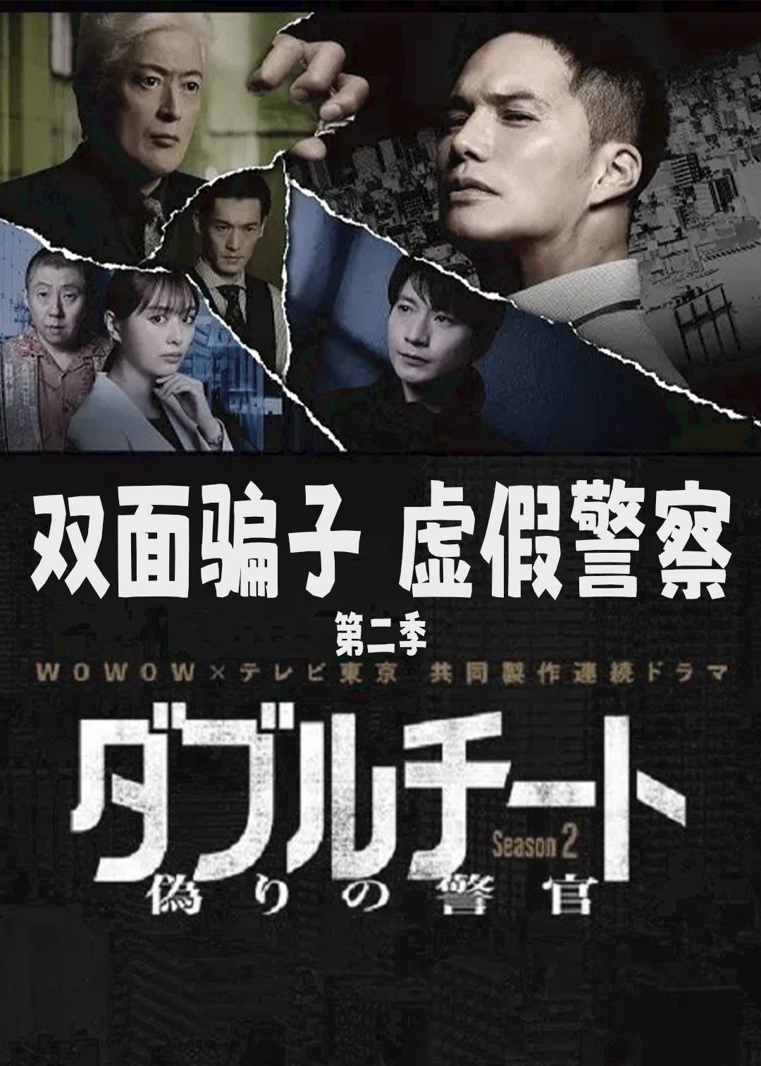 双面骗子 虚假警察 第二季封面图