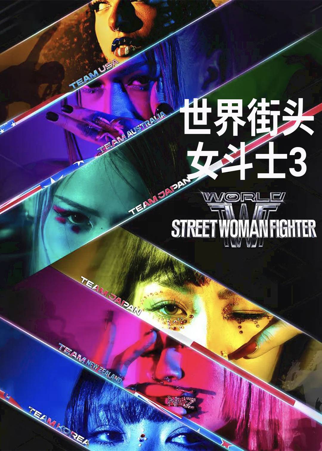 世界街头女斗士 第三季封面图