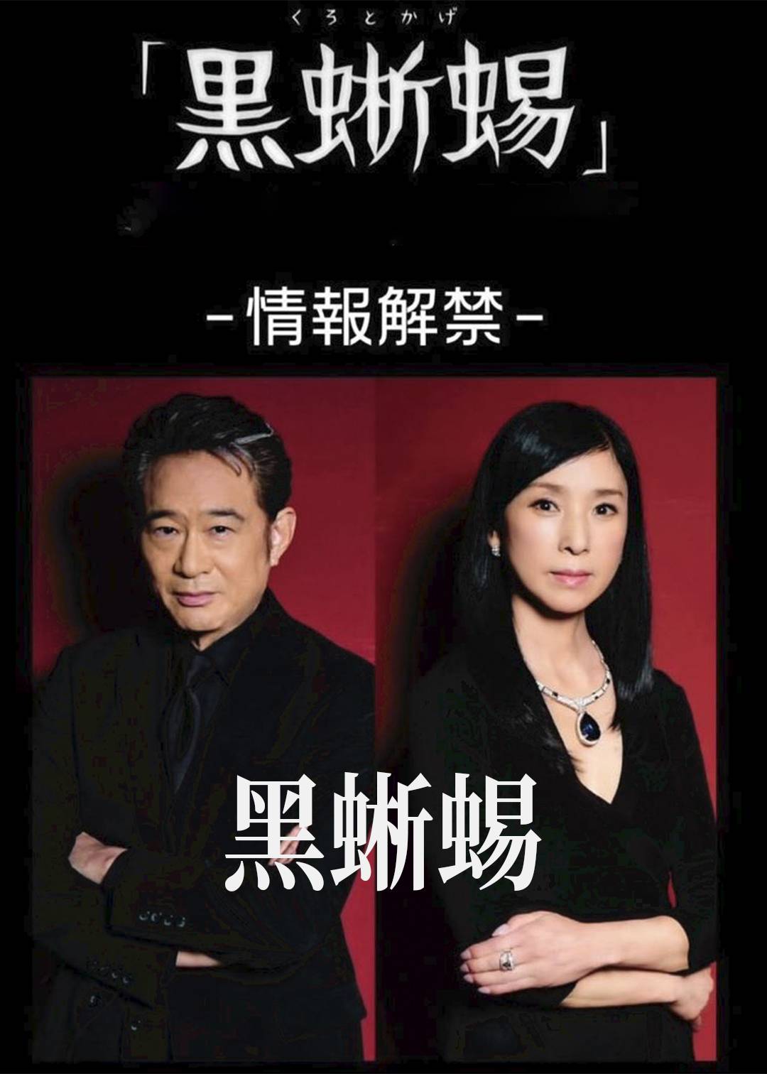 黑蜥蜴封面图