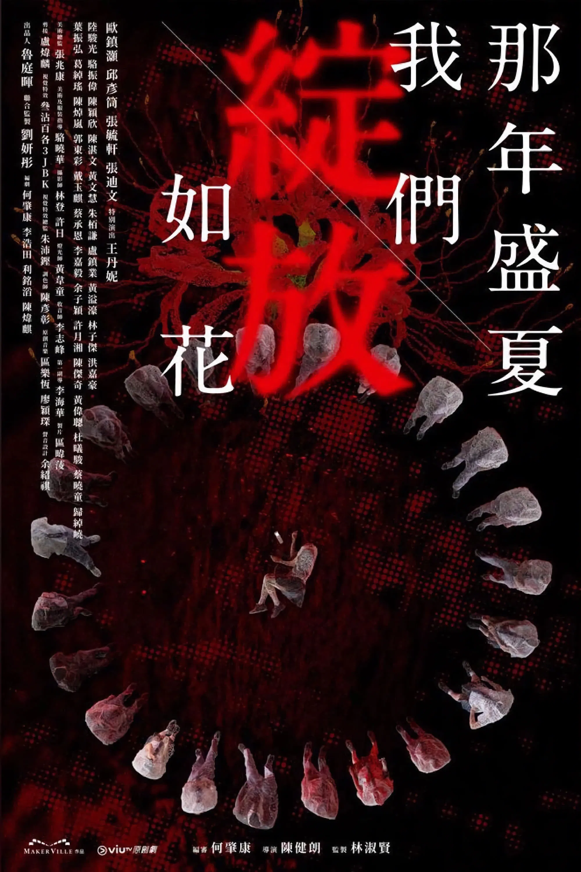 那年盛夏 我们绽放如花封面图