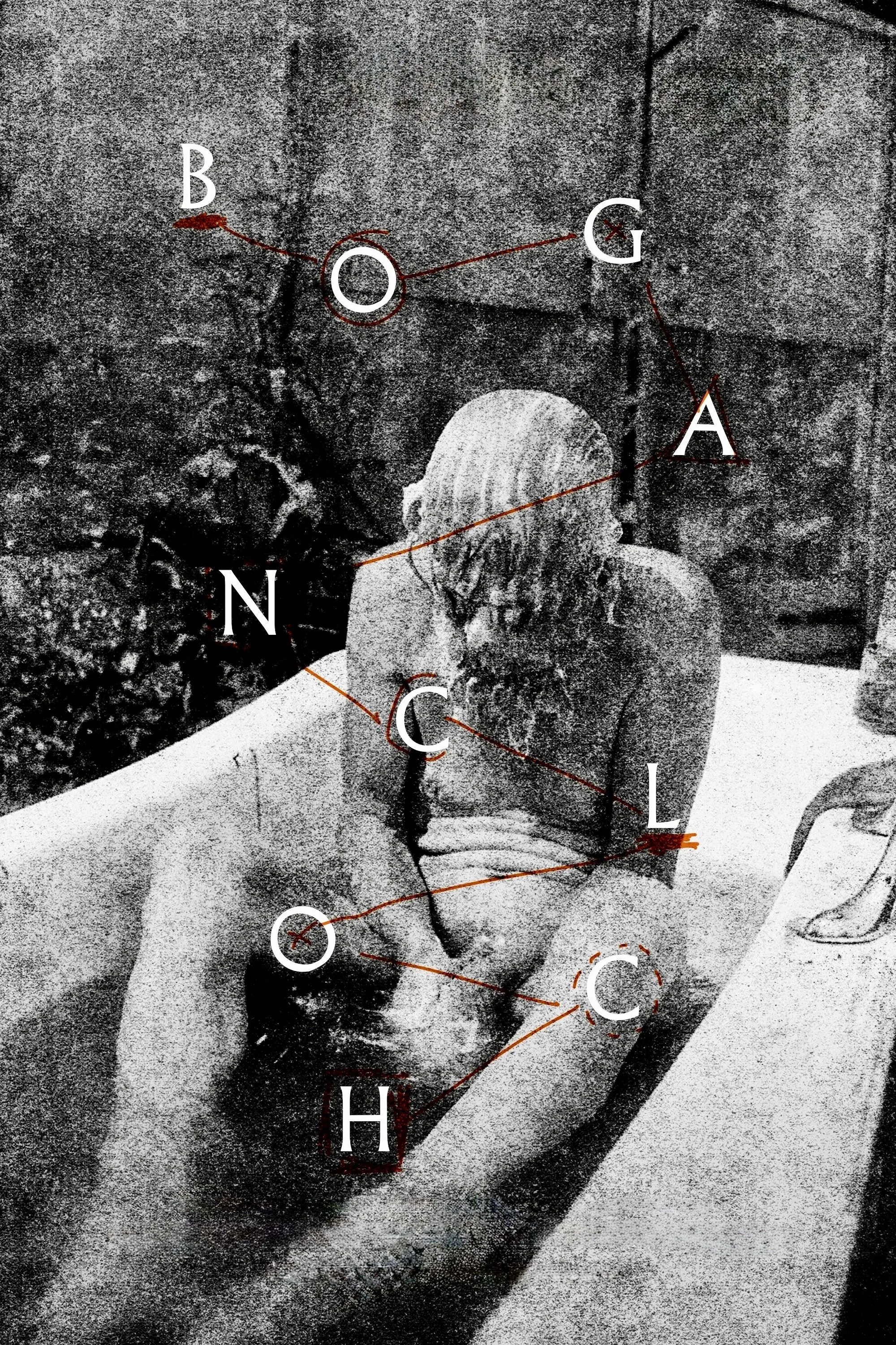 林中空地封面图