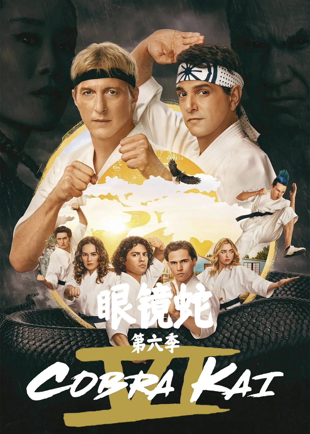 眼镜蛇 第六季封面图