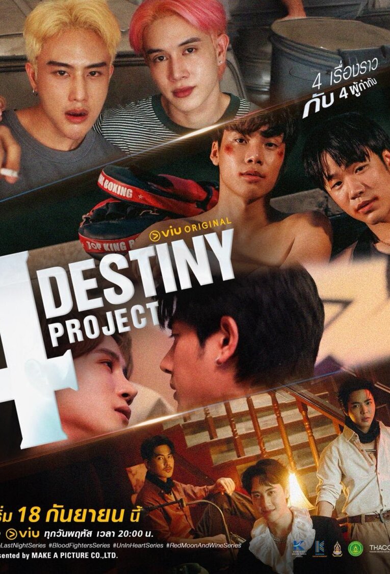 4 Destiny Project封面图