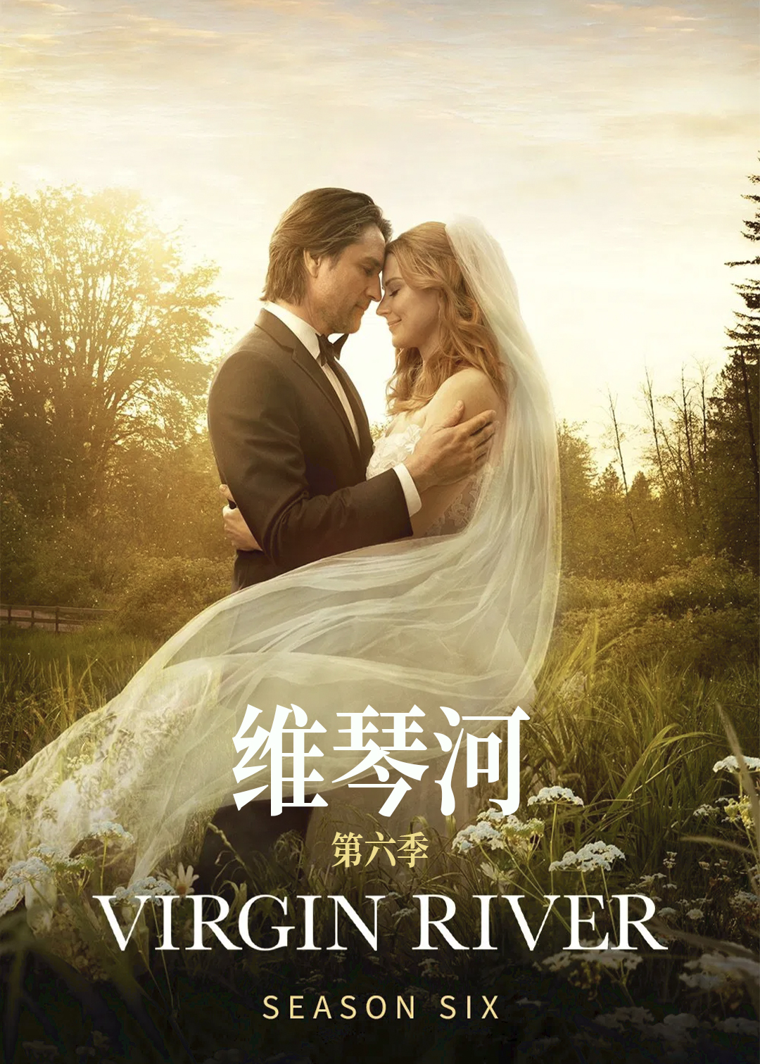 维琴河 第六季封面图