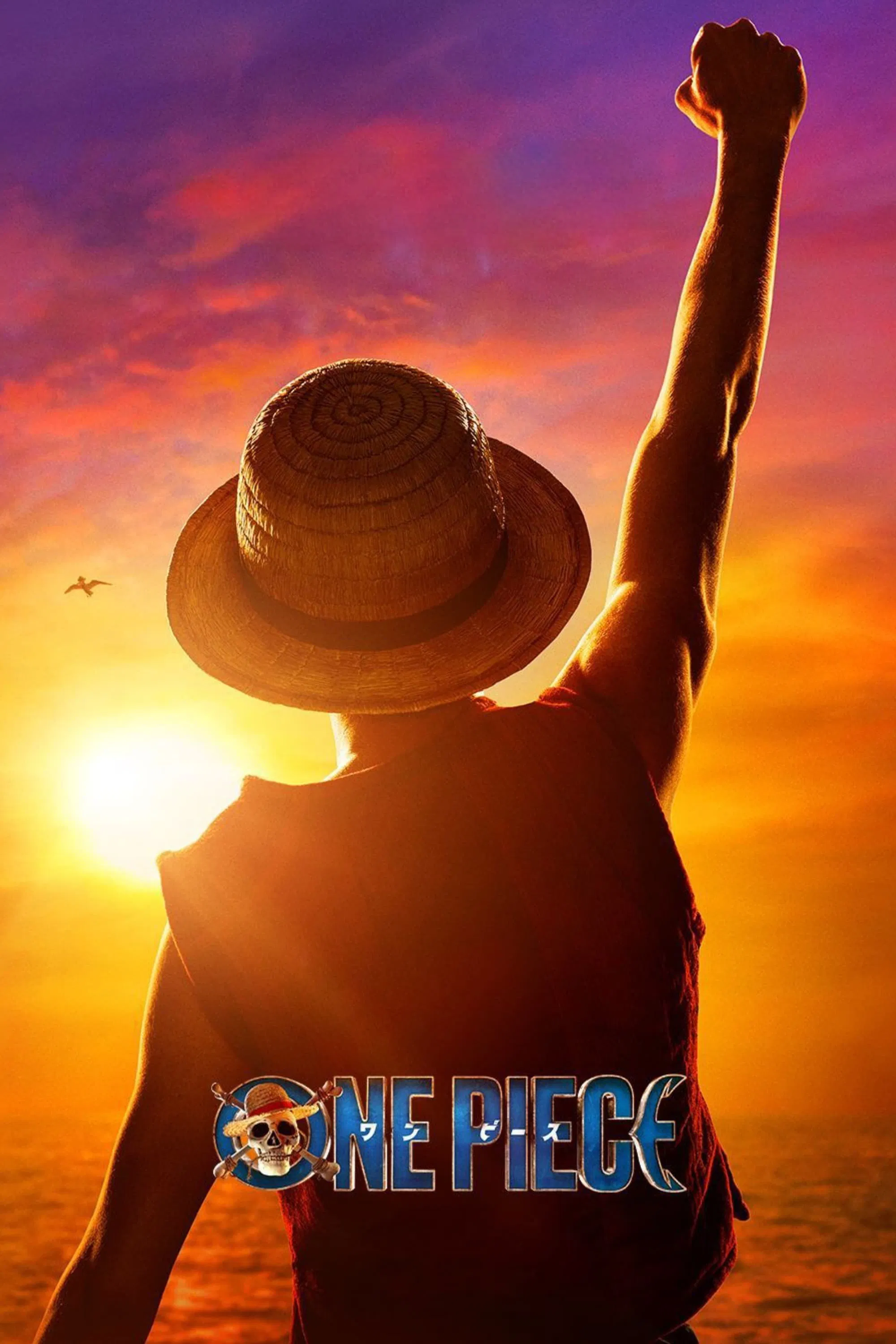 海贼王真人版 第二季封面图