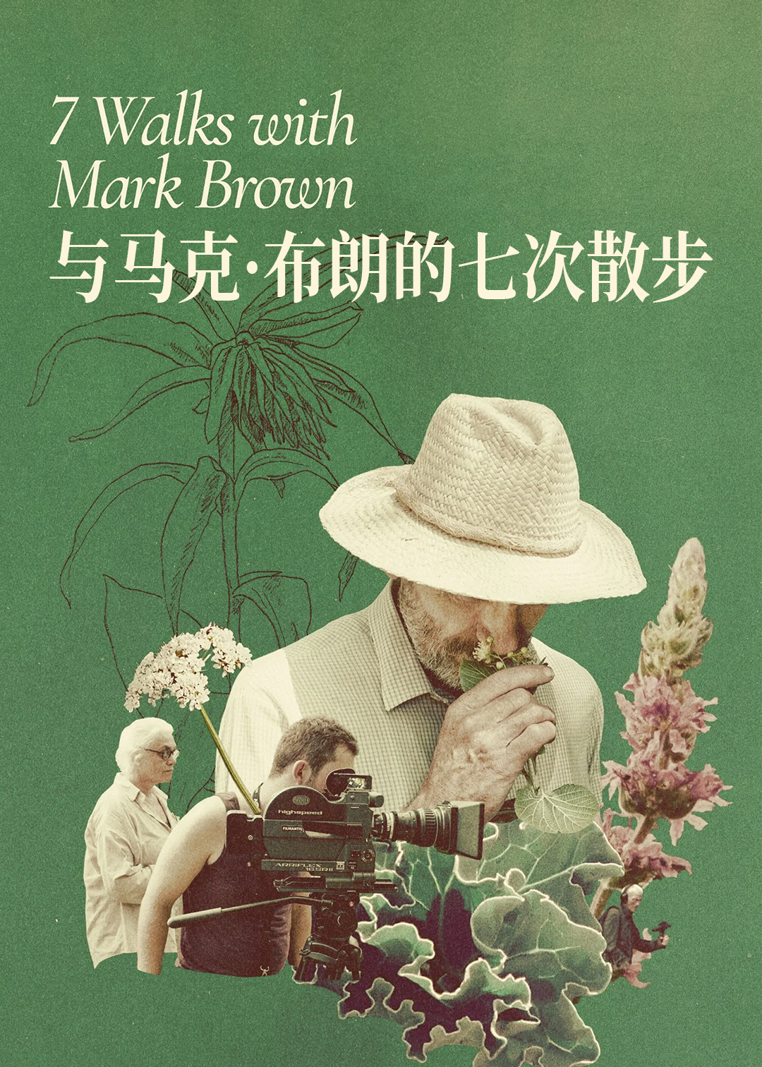 与马克:布朗的七次散步封面图