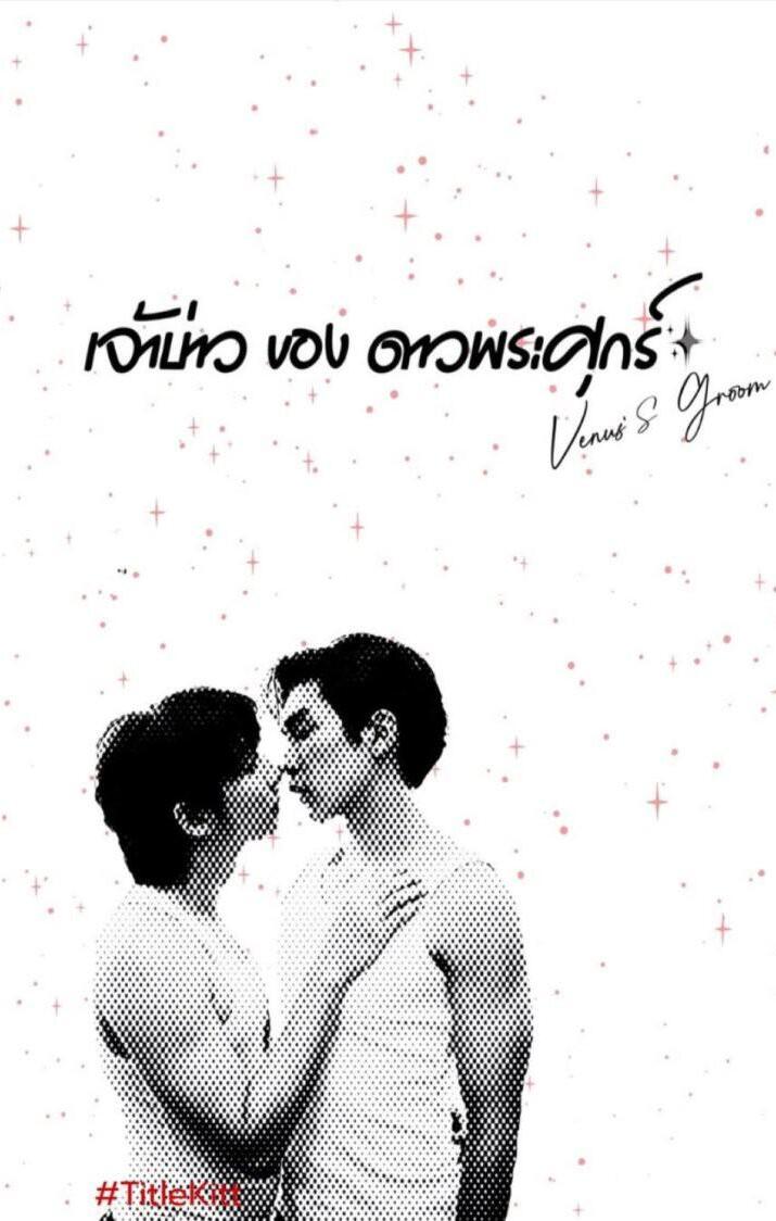 维纳斯的新郎封面图