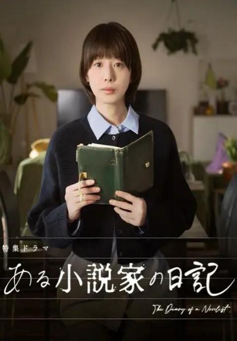 某小说家的日记封面图