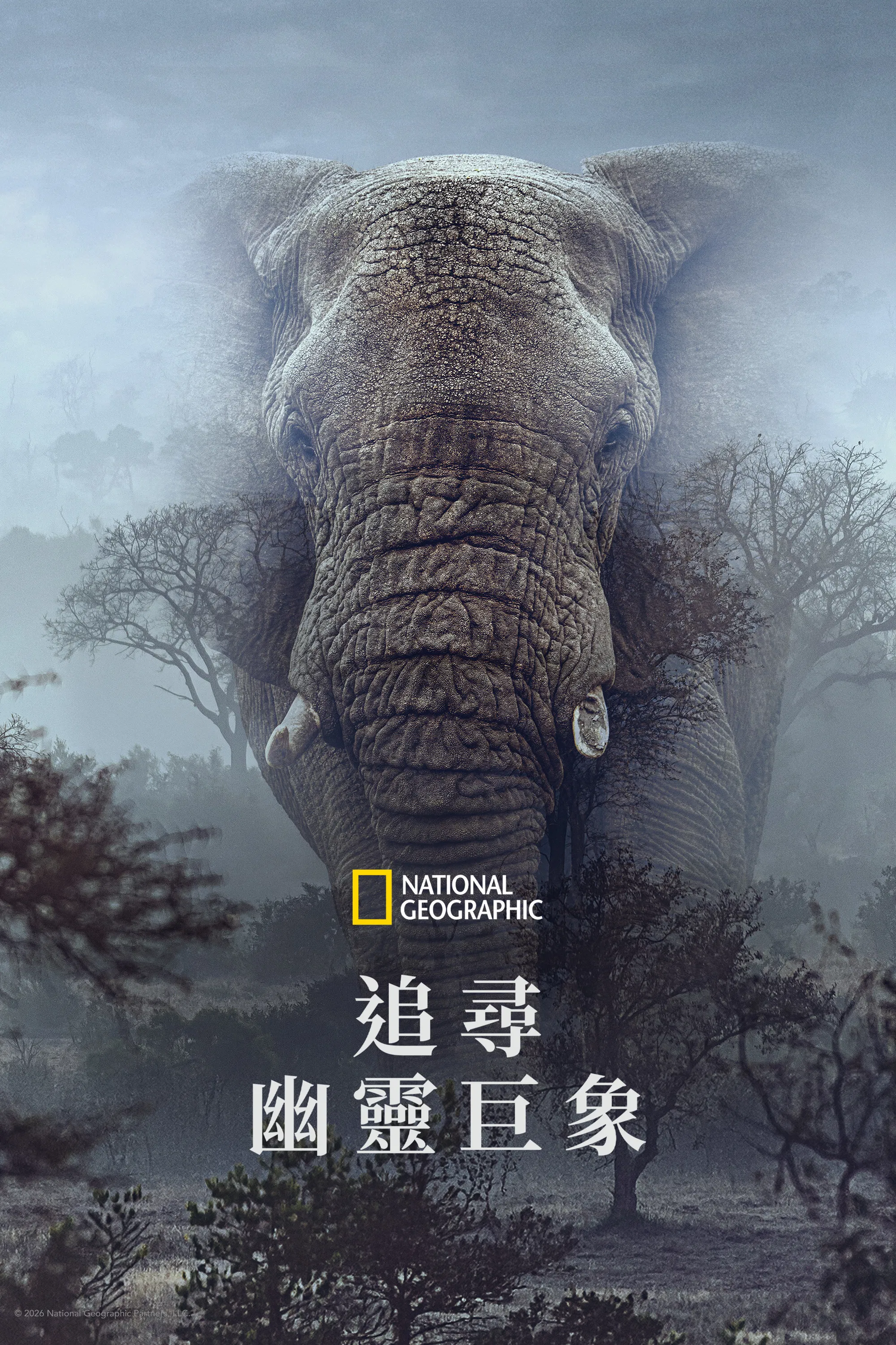 追寻幽灵大象封面图