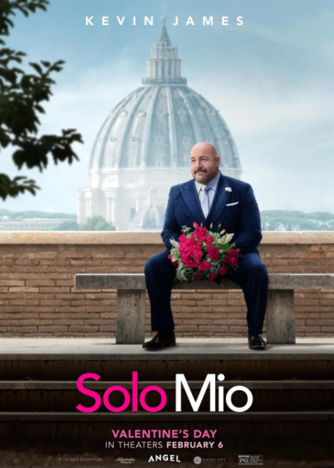 我独自蜜月封面图