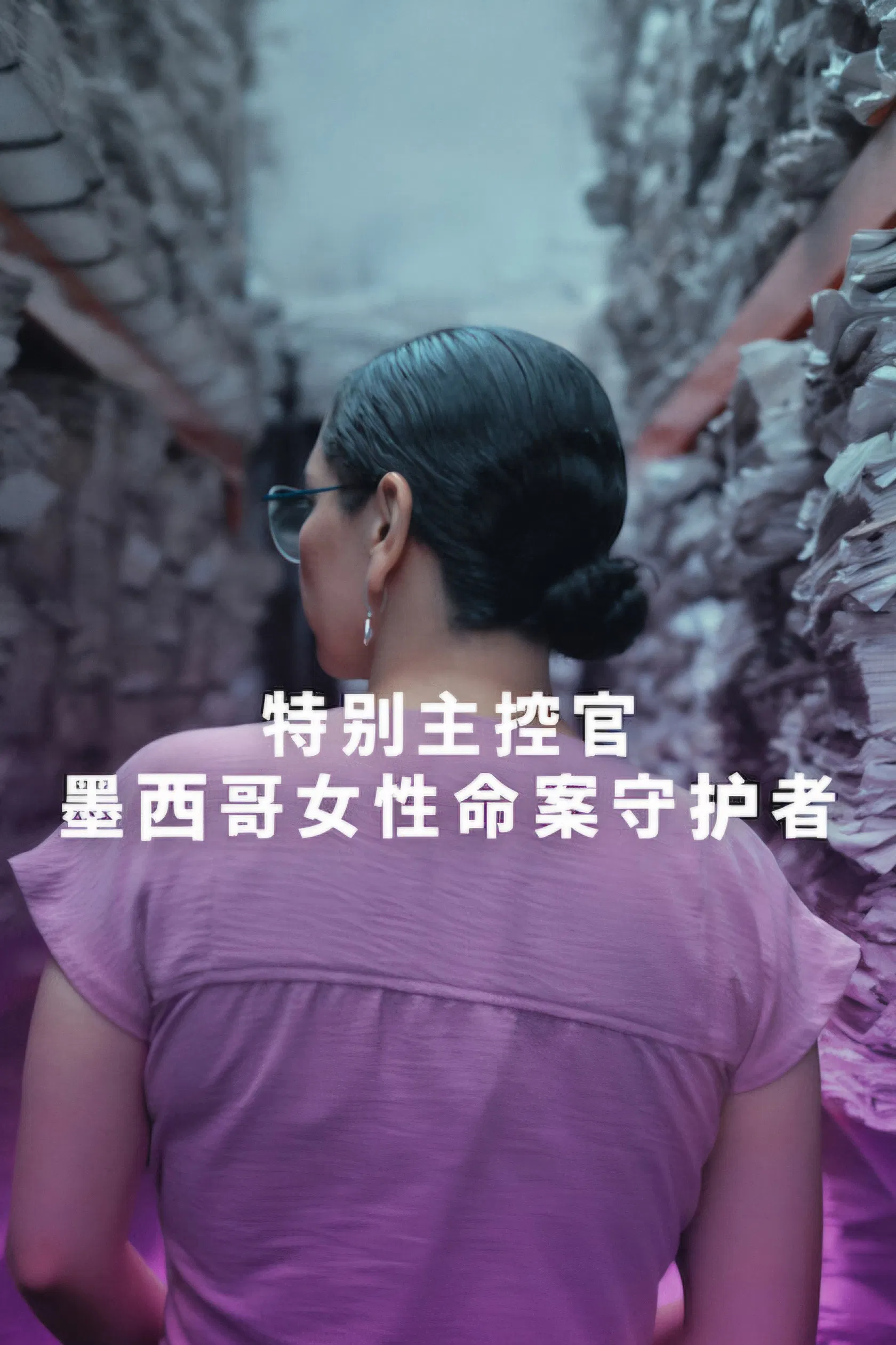 特别主控官:墨西哥女性命案守护者封面图